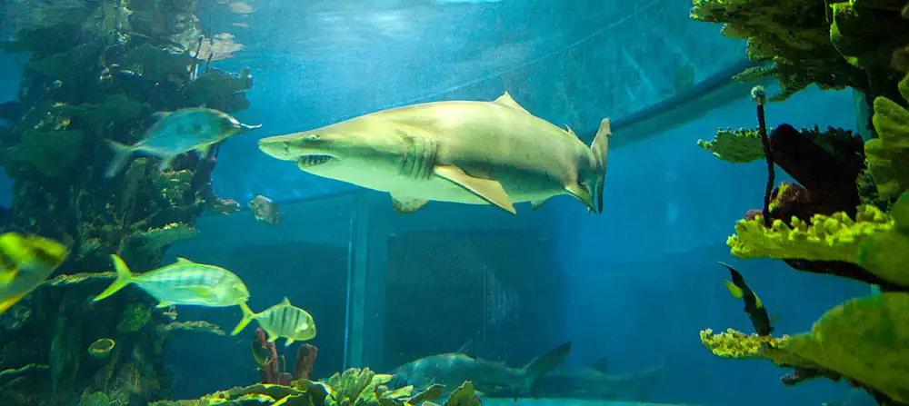 Tropicarium Budapešť