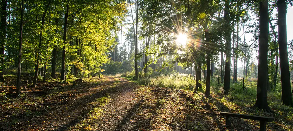 Naučná stezka Babí lom